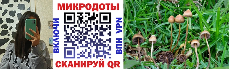 Галлюциногенные грибы мухоморы  Купить где  Верхотурье 